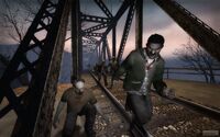 Normal-infected