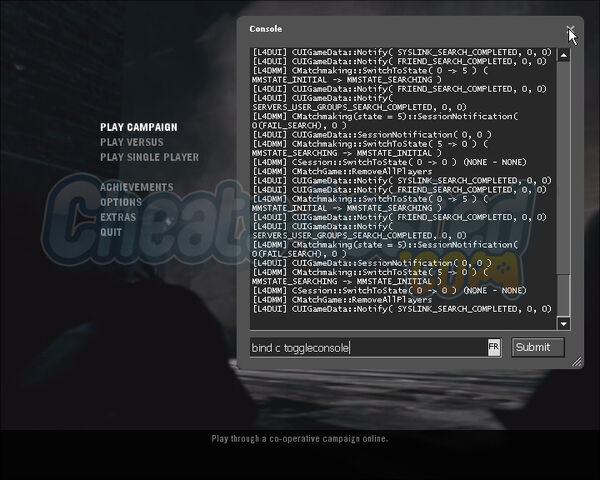 File:Left 4 Dead PC Cheats Console Window.jpg