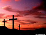 Crosses