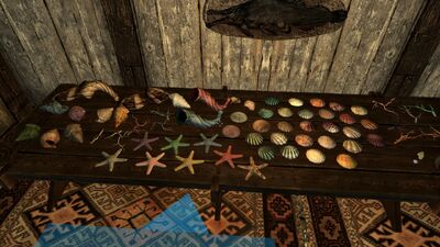 AaaSeashells