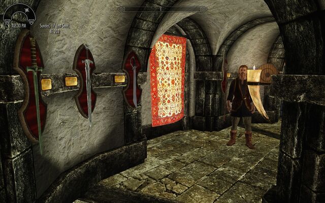 File:Weapons and Shields Displays 4.jpg