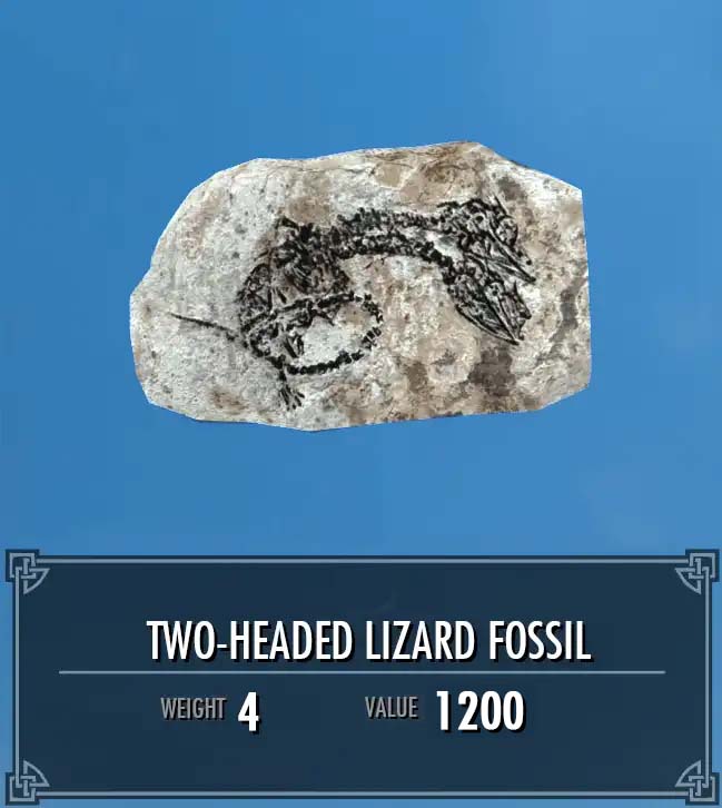 two headed dinosaur fossil