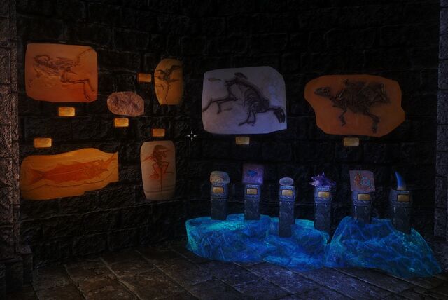 File:Fossil Mining Display Group 1.jpg