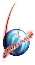 Water element