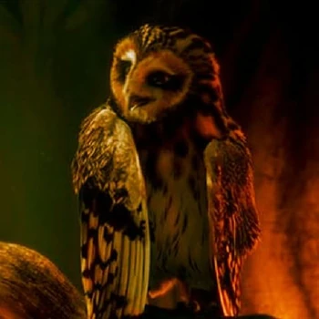 Strix Struma Legend of the Guardians owls of Gahoole Wiki Fandom