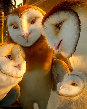 Barn Owl Legend Of The Guardians Owls Of Gahoole Wiki Fandom