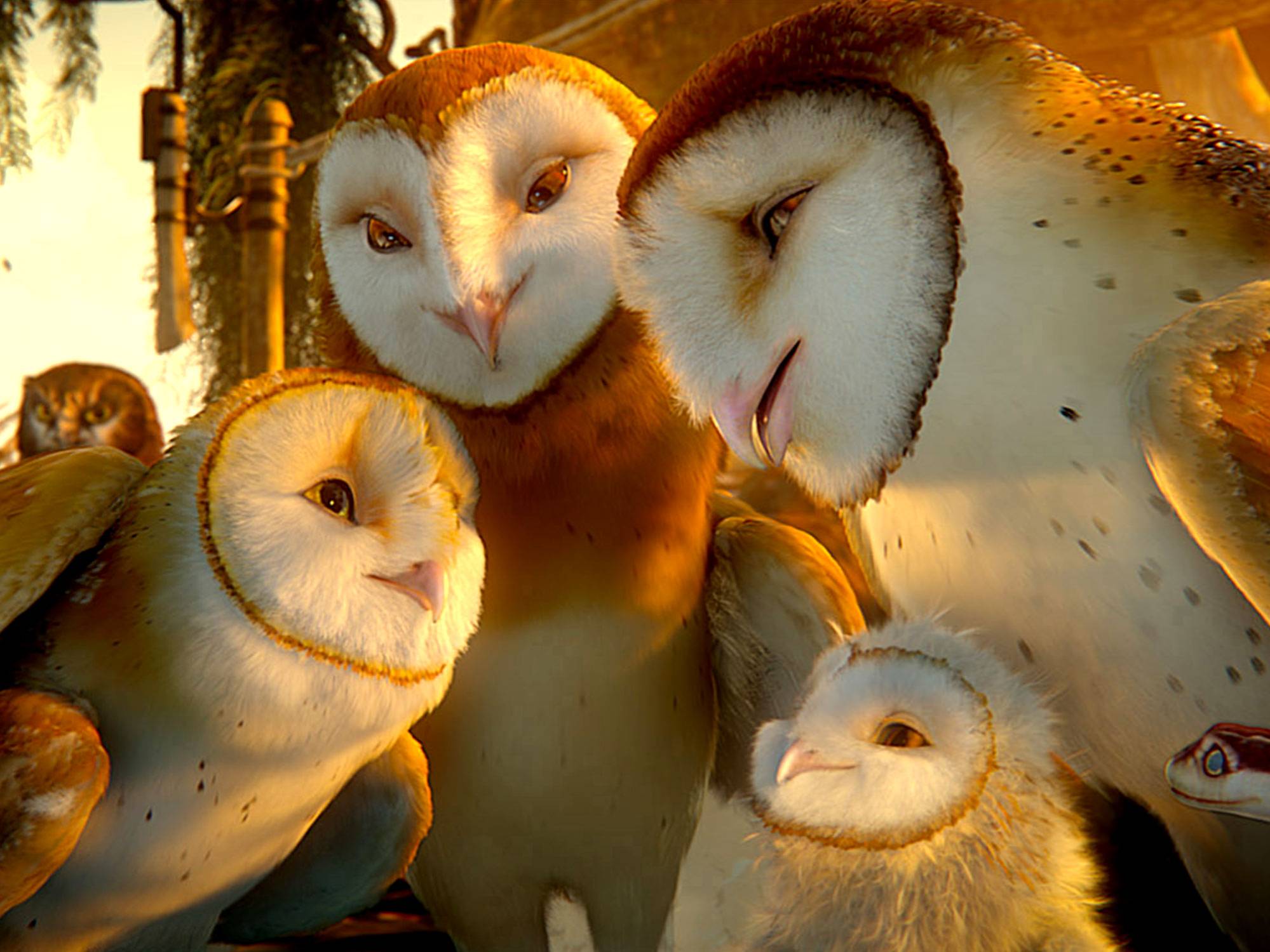 soren-s-family-legend-of-the-guardians-owls-of-gahoole-wiki-fandom