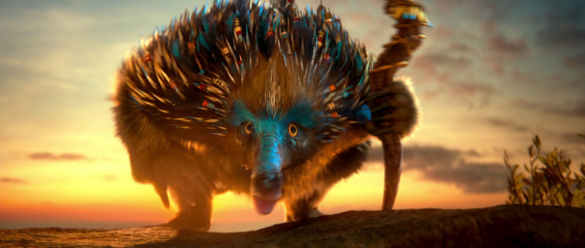 echidna figures