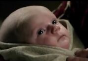 Baby Nicolas
