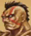 Kongoliportrait