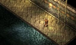 Rolentsewers