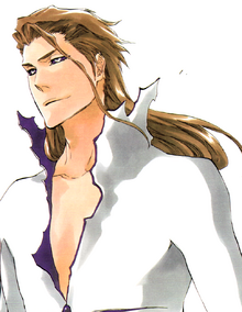 Sosuke Aizen | Legends of the Multi Universe Wiki | FANDOM powered by Wikia