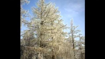 Fading Embers Starscream S Story Legends Of The Multi Universe