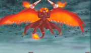 Volcano Kingdragon