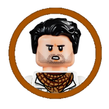 Poe Dameron Character Icon