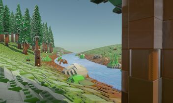 Conifer forest