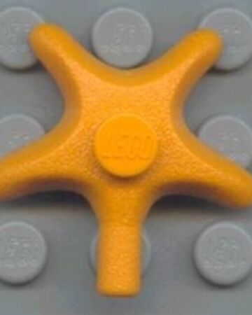 Starfish Brickipedia Fandom