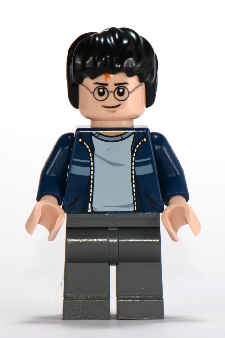 lego 30110