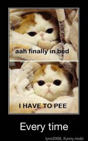 1cute wait i have to pee..