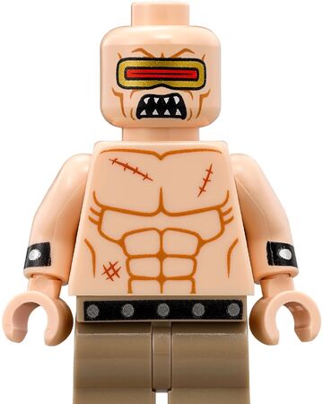 lego legend of zelda breath of the wild