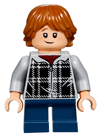 harry potter 75955