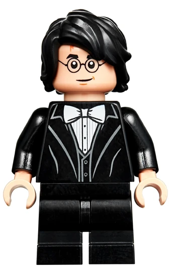 lego harry potter costume