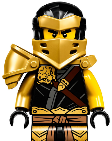 ninjago cole