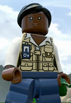 veterinarian lego