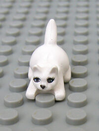Cat 2