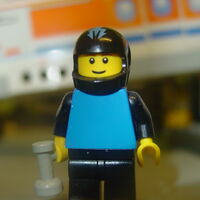 The Security Team Legoland Wiki Fandom