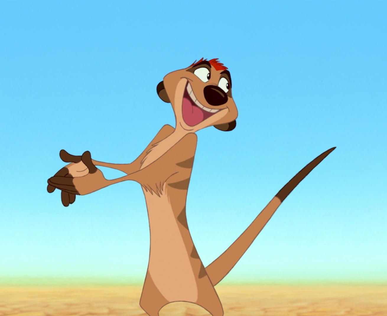 Timon | Disney Wiki | Fandom