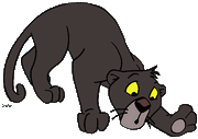 Bagheeracub