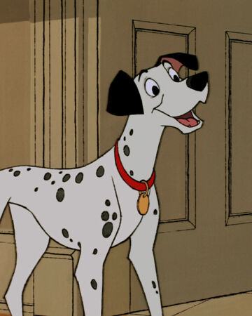 Pongo Disney Wiki Fandom