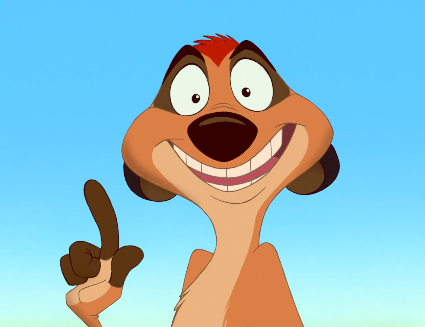 Timon Disney Wiki FANDOM powered by