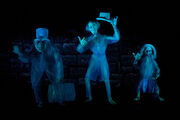 Hitchhiking ghost
