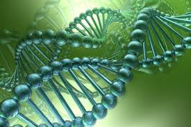 DNA