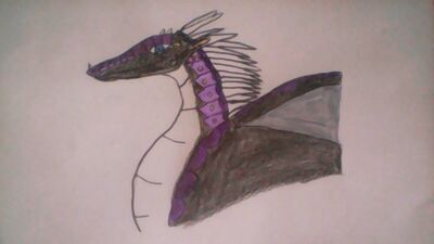 Comment Dessiner Un Dragon Wikia Les Royaumes De Feu Fandom