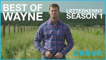 Wayne Letterkenny Wikia Fandom