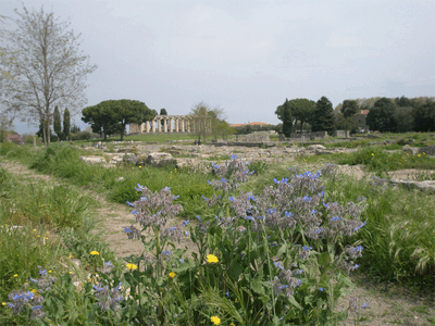 Paestum3