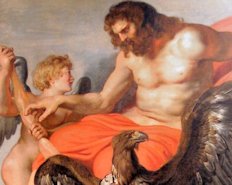 Zeus rubens