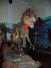 Allosaurus
