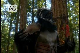 Skunkbear