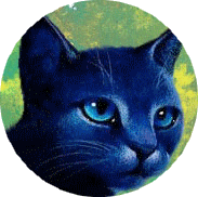 Etoile Bleue timeline