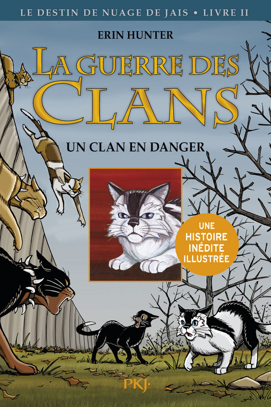 Un Clan En Danger Wiki La Guerre Des Clans Fandom - 