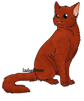 Feuille Rousse Wiki La Guerre Des Clans Fandom