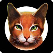 WarriorsApp-Icon