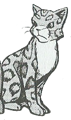 Leopardstar.GA-3