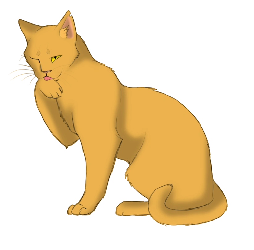 Image - Bouton d'Or.png | Wiki La guerre des Clans ...