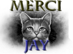 MerciJay
