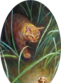 Tempête de Sable | Wiki La guerre des Clans | Fandom